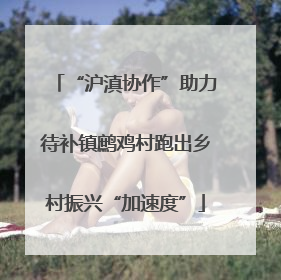 “沪滇协作”助力待补镇鹧鸡村跑出乡村振兴“加速度”